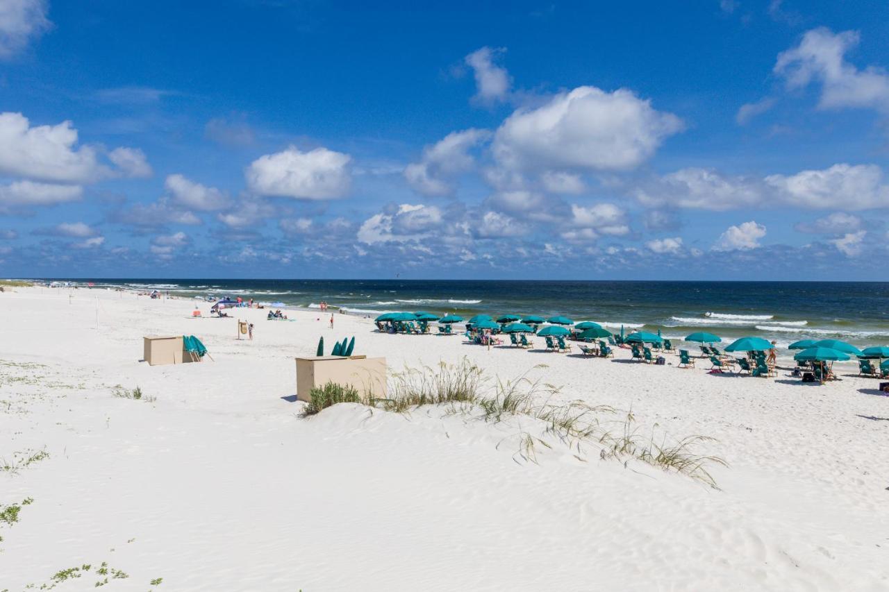 Beach Club 708D Gulf Shores Dış mekan fotoğraf